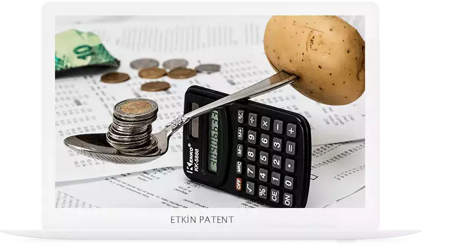 finansal davranışlara dair kombinasyon modeller-Mersin patent